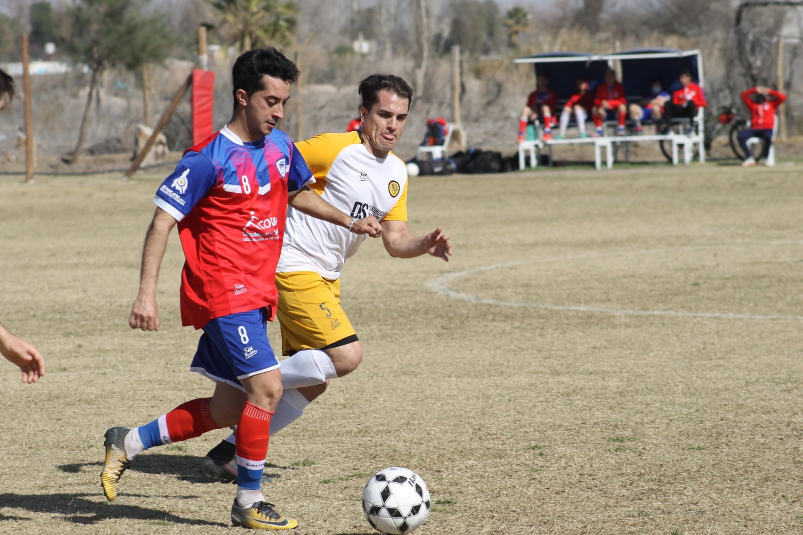 Sin diferencias entre Calise y Jockers (LFP)