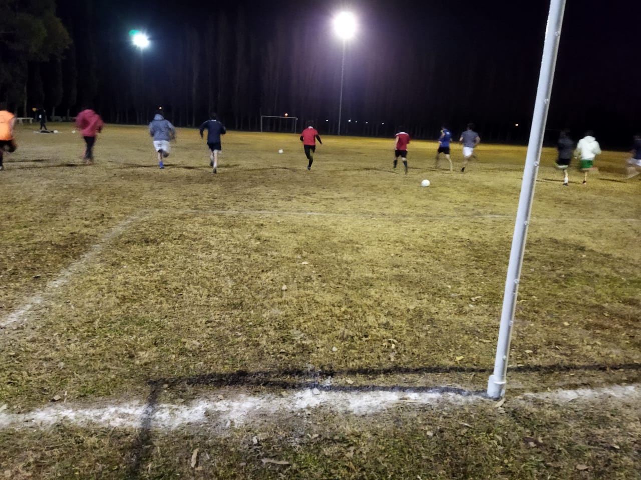 Ejercicios Físicos de los Planteles